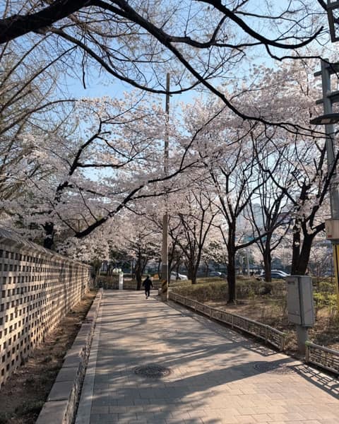 거리공원-어린이공원 산책길 사진 3