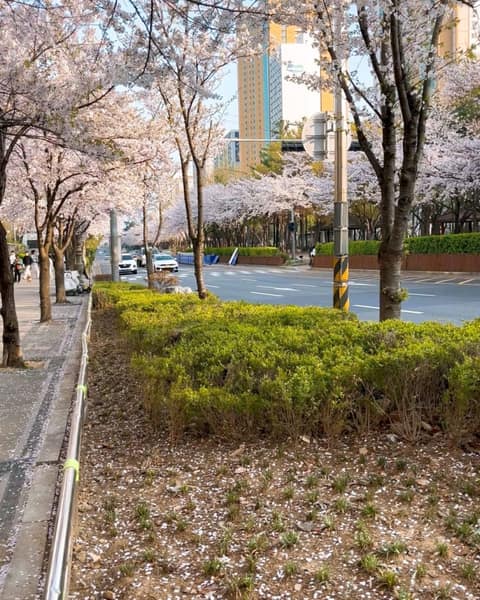 거리공원-어린이공원 산책길 사진 6