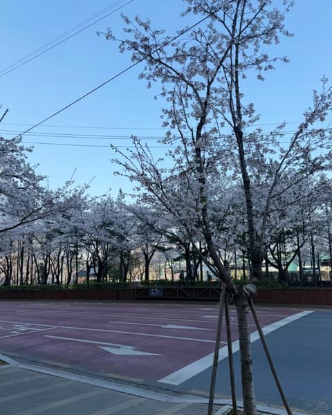 거리공원-어린이공원 산책길 사진 8