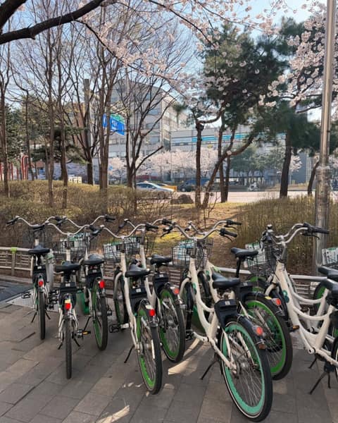 거리공원-어린이공원 산책길 사진 9