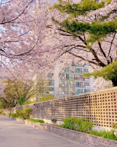 거리공원-어린이공원 산책길 사진 10