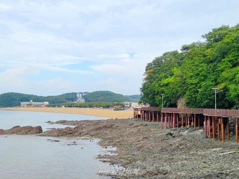 십리포해변 산책코스 사진 4