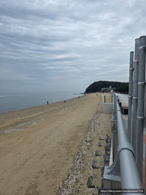 십리포해변 산책코스 사진 10