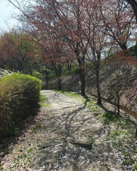광주 호국보훈공원 산책길 사진 7