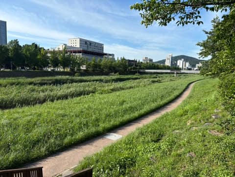 창원천 산책길 사진 1
