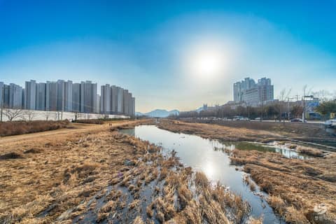 창원천 산책길 사진 4