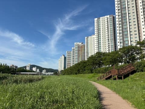 창원천 산책길 사진 5