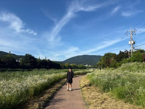창원천 산책길 사진 7