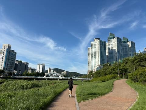 창원천 산책길 사진 8
