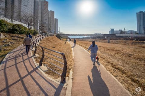 창원천 산책길 사진 10