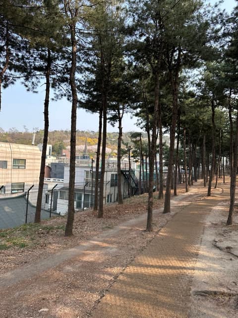 남산골 공원 둘레길 사진 1