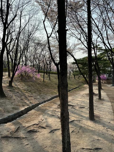남산골 공원 둘레길 사진 2