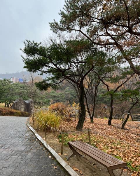 남산골 공원 둘레길 사진 3