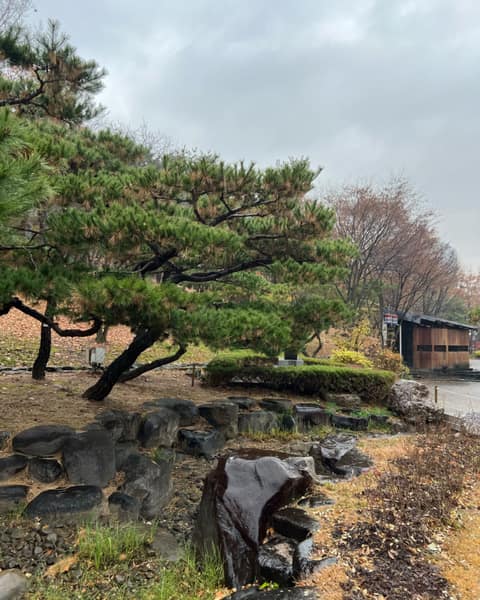 남산골 공원 둘레길 사진 4