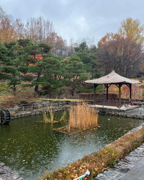 남산골 공원 둘레길 사진 5