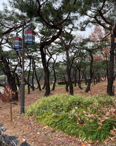 남산골 공원 둘레길 사진 6