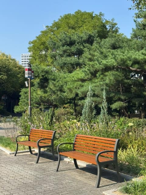 남산골 공원 둘레길 사진 8