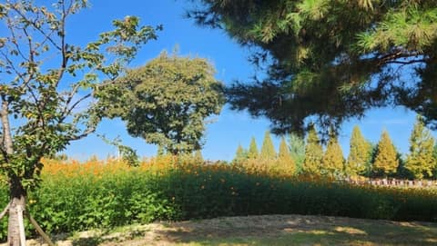 문암생태공원 산책길 사진 8