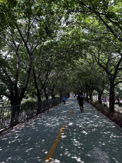 송정제방 수림대(군자교~성동교) 사진 1