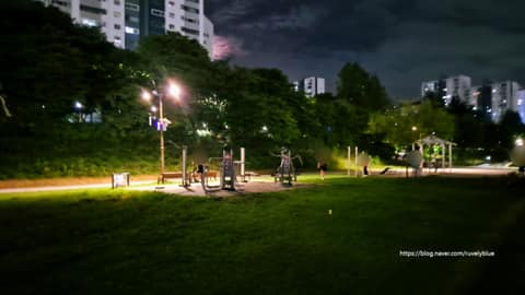 탄천 5코스 사진 6