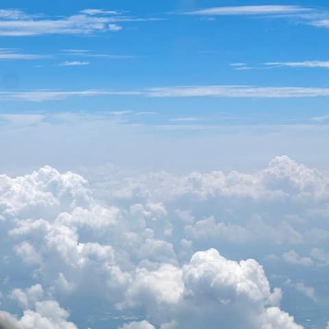 부평구청 산책코스 사진 1