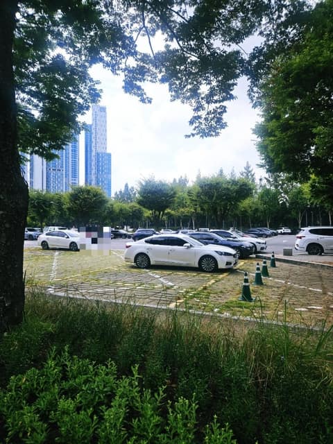서울숲 생태숲길 사진 8