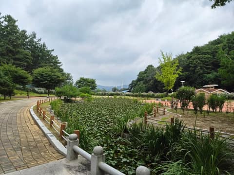 홍천 무궁화테마파크 산책길 사진 1