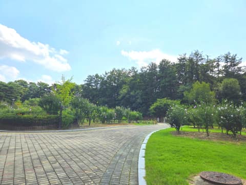 홍천 무궁화테마파크 산책길 사진 2