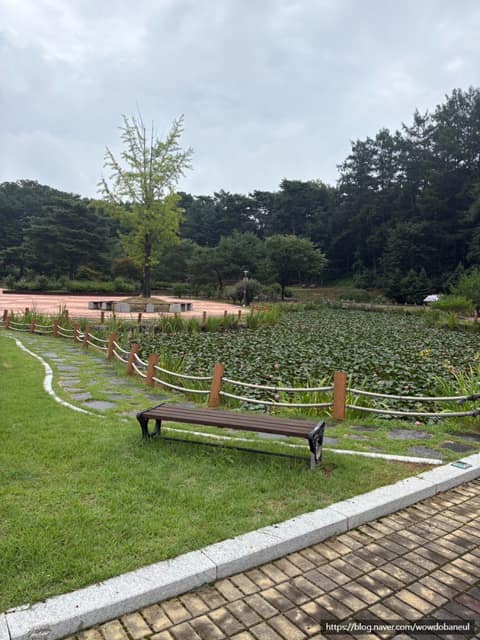 홍천 무궁화테마파크 산책길 사진 4