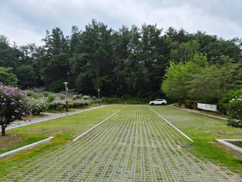 홍천 무궁화테마파크 산책길 사진 6