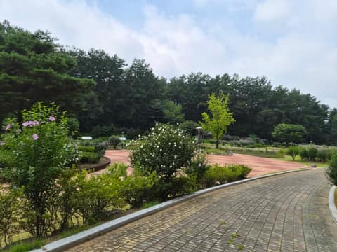 홍천 무궁화테마파크 산책길 사진 7