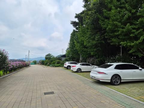 홍천 무궁화테마파크 산책길 사진 10