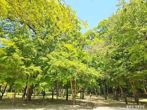 헌릉과 인릉 산책코스 사진 2