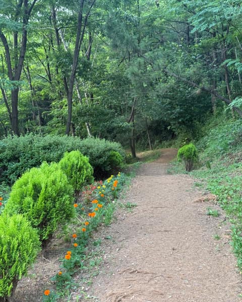 승학산 둘레길 사진 4