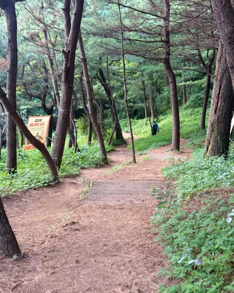 승학산 둘레길 사진 6
