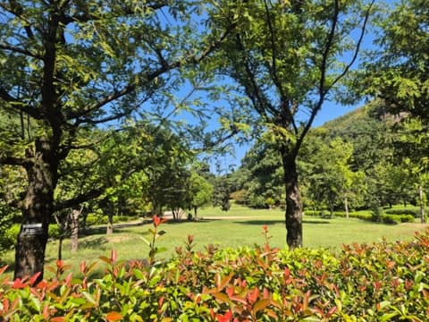 봉하마을 산책길 사진 1