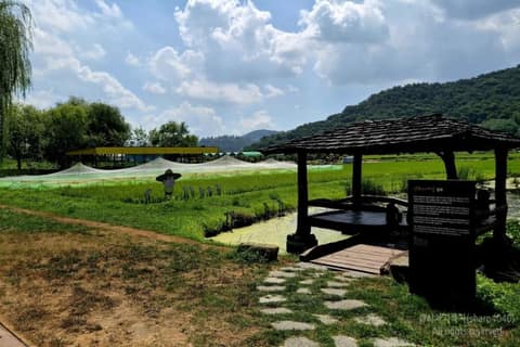 봉하마을 산책길 사진 8