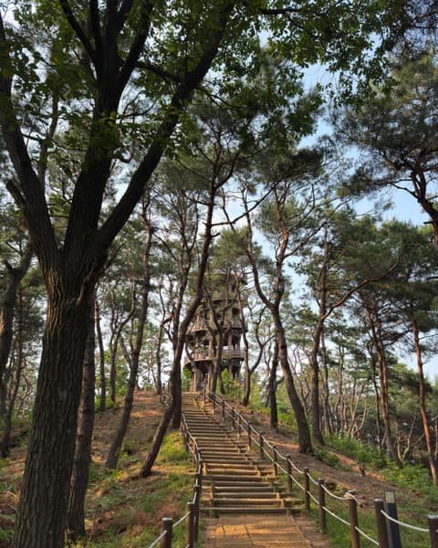 청남대 산책길 사진 1