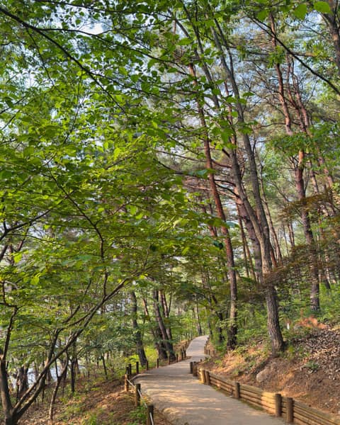 청남대 산책길 사진 2