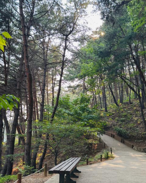 청남대 산책길 사진 3