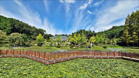 청남대 산책길 사진 4