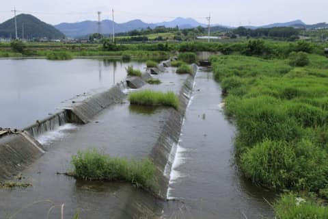 요도천 산책로(신니면) 사진 1