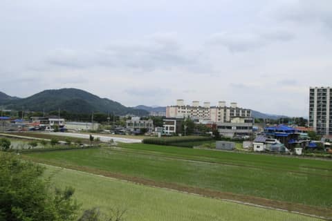 요도천 산책로(신니면) 사진 2
