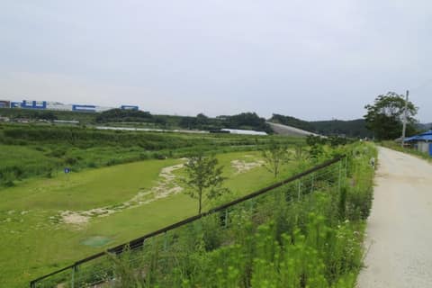요도천 산책로(신니면) 사진 3