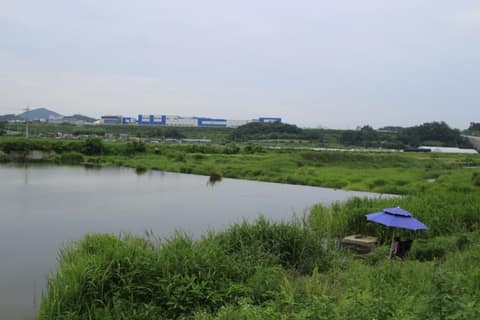 요도천 산책로(신니면) 사진 4