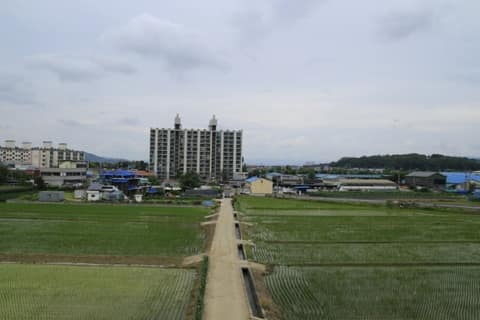 요도천 산책로(신니면) 사진 5