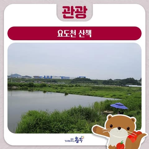 요도천 산책로(신니면) 사진 6