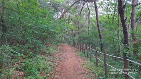 시묘산 둘레길 사진 1