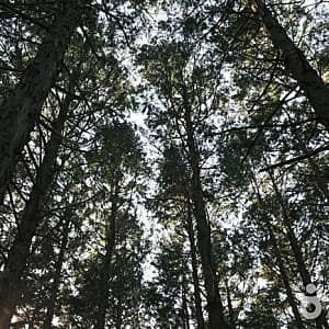 서해 황금 들녘길 사진 3