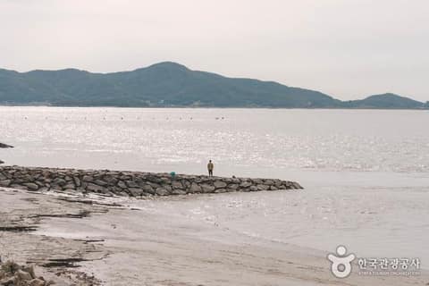 서해 황금 들녘길 사진 4